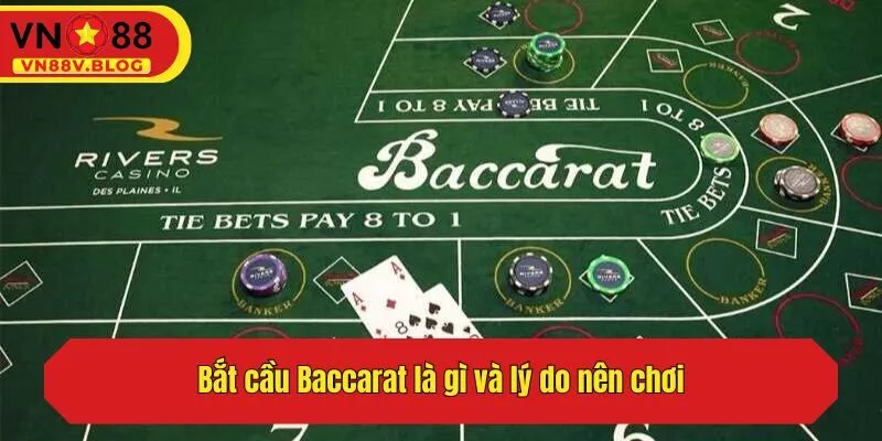 Bắt cầu Baccarat là gì và lý do nên chơi?