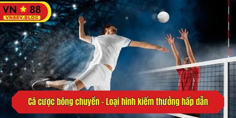 Cá cược bóng chuyền - Loại hình kiếm thưởng hấp dẫn