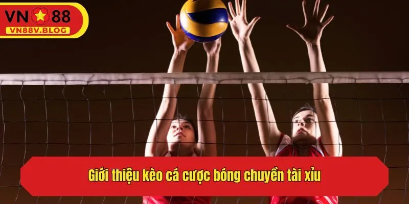 Giới thiệu kèo cá cược bóng chuyền tài xỉu