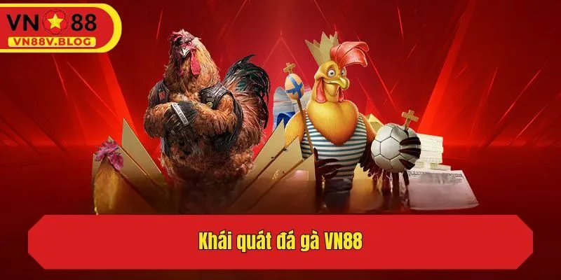 Khái quát đá gà VN88