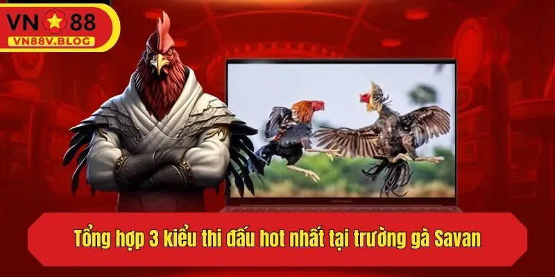 Tổng hợp 3 kiểu thi đấu hot nhất tại trường gà Savan