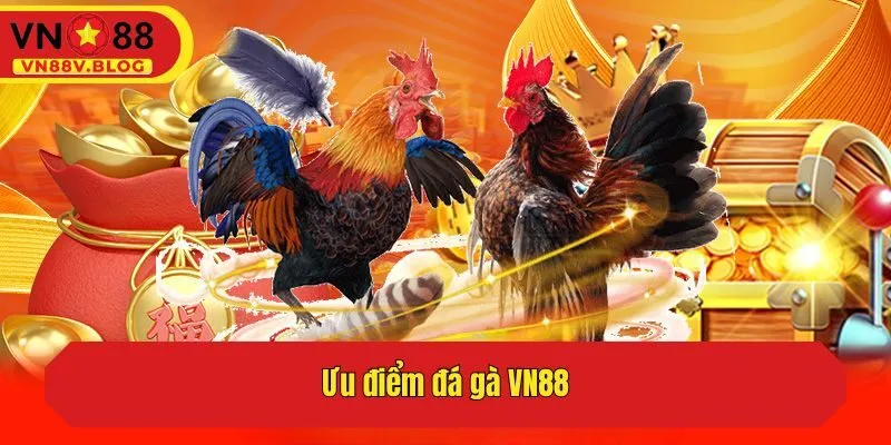 Ưu điểm đá gà VN88