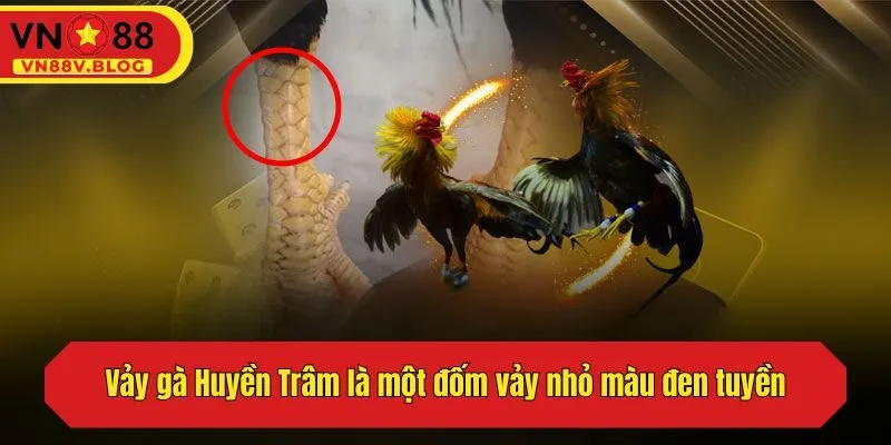 Vảy gà Huyền Trâm là một đốm vảy nhỏ màu đen tuyền